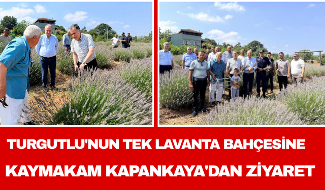 Turgutlu'nun Tek Lavanta Bahçesine Kaymakam Kapankaya'dan Ziyaret