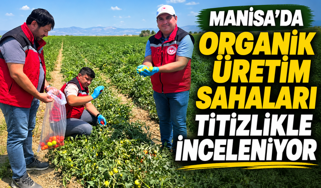 Manisa'da Organik Üretim Sahaları Titizlikle İnceleniyor