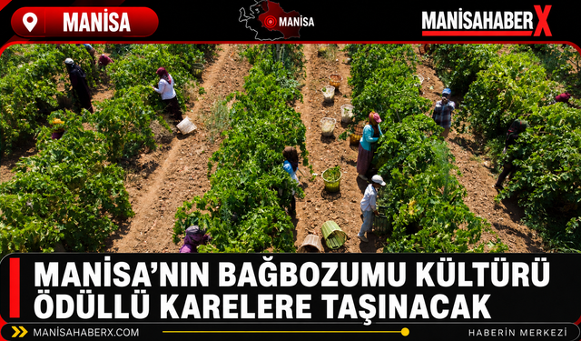 Manisa’nın Bağbozumu Kültürü Ödüllü Karelere Taşınacak