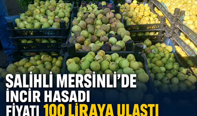 Salihli Mersinli’de İncir Hasadı: Fiyatı 100 Liraya Ulaştı