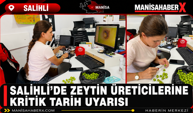 Salihli’de Zeytin Üreticilerine Kritik Tarih Uyarısı