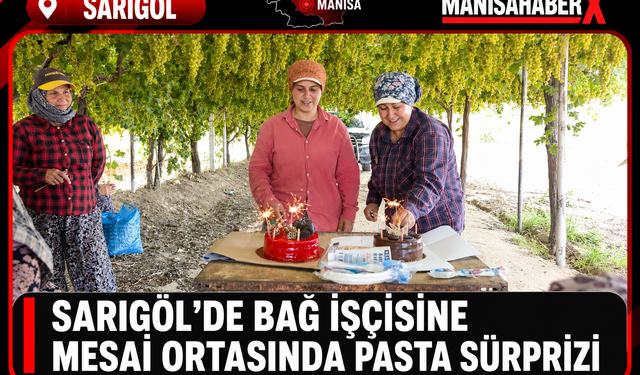 Sarıgöl’de Bağ İşçisine Mesai Ortasında Pasta Sürprizi