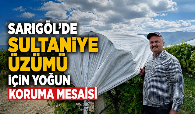 Sarıgöl'de Sultaniye Üzümü İçin Yoğun Koruma Mesaisi