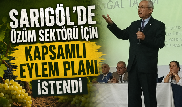 Sarıgöl'de üzüm sektörü için kapsamlı eylem planı istendi