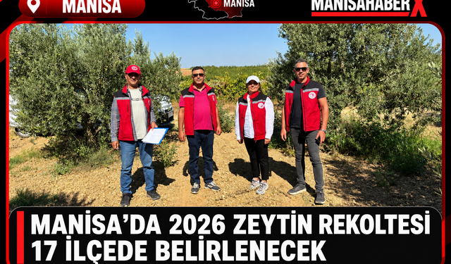 Manisa’da 2026 Zeytin Rekoltesi 17 İlçede Belirlenecek