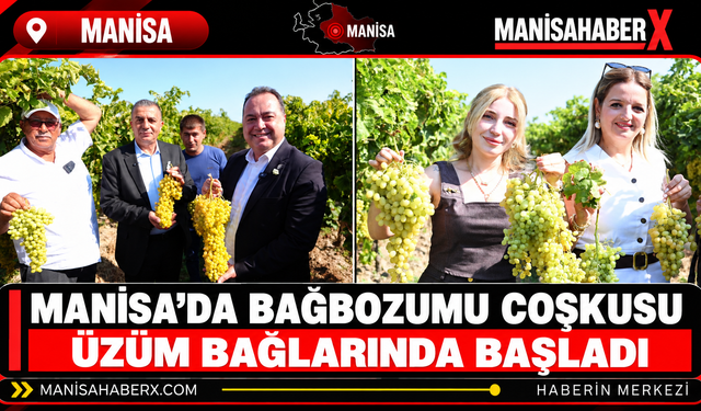 Manisa’da Bağbozumu Coşkusu Üzüm Bağlarında Başladı