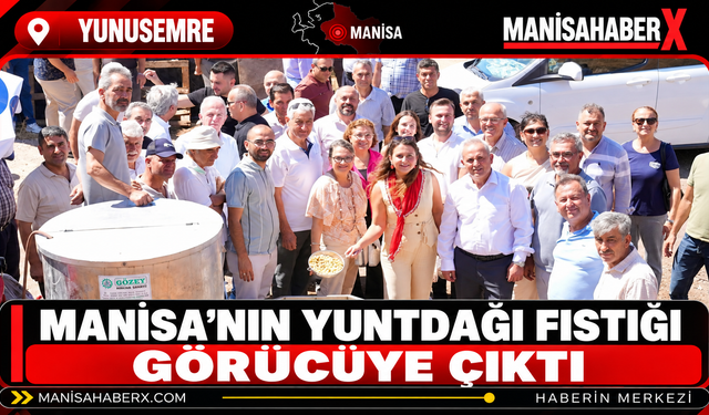Manisa’nın Yuntdağı Fıstığı Görücüye Çıktı