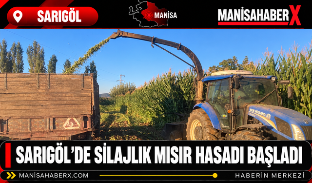 Sarıgöl’de Silajlık Mısır Hasadı Başladı