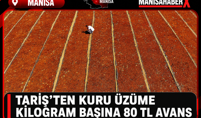 TARİŞ’ten Kuru Üzüme Kilogram Başına 80 TL Avans