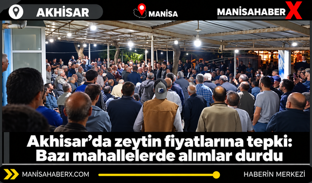 Akhisar’da zeytin fiyatlarına tepki: Bazı mahallelerde alımlar durdu