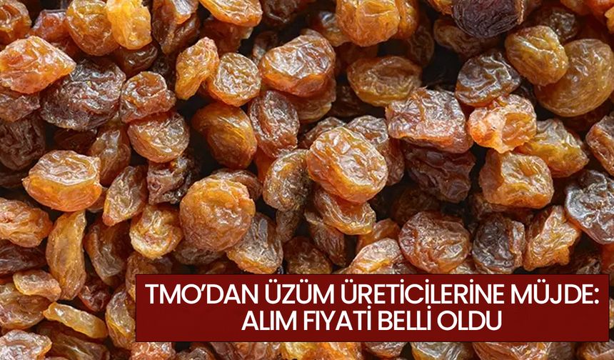 TMO’dan Üzüm üreticilerine müjde: Alım fiyatı belli oldu