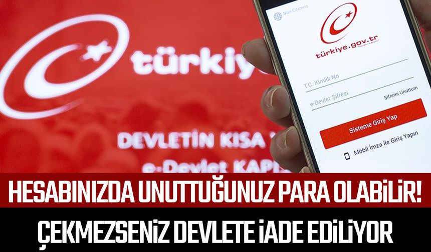 E-Devlet hesabınızda unuttuğunuz para olabilir!