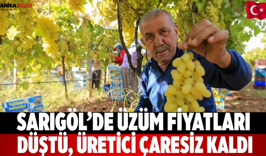 Sarıgöl’de üzüm fiyatları düştü, üretici çaresiz kaldı