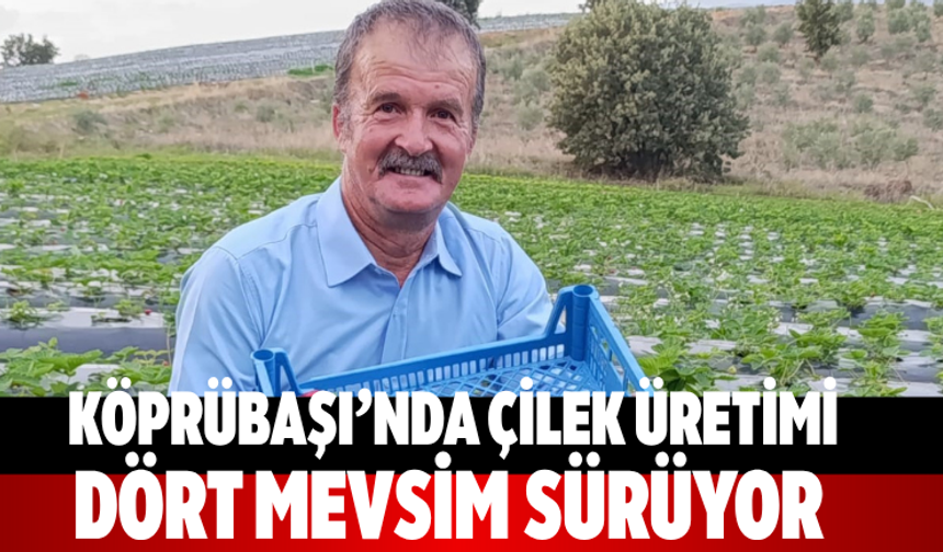 Köprübaşı’nda Çilek Üretimi Dört Mevsim Sürüyor