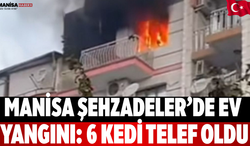Manisa Şehzadeler’de Ev Yangını: 6 Kedi Telef Oldu