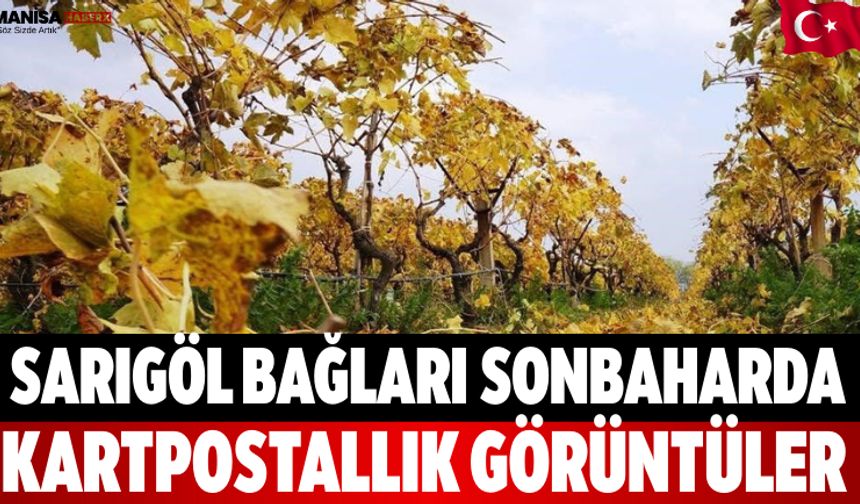 Sarıgöl Bağları Sonbaharda Kartpostallık Görüntüler