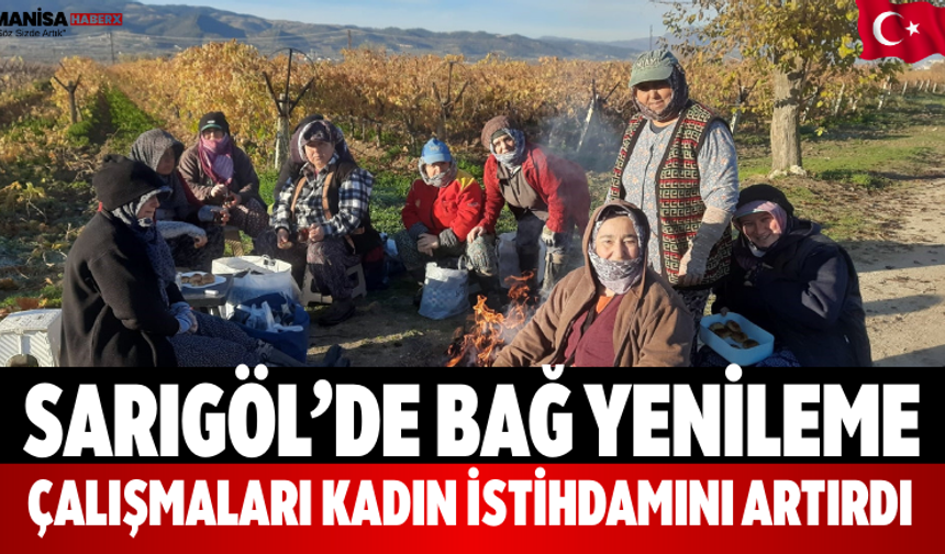 Sarıgöl’de Bağ Yenileme Çalışmaları Kadın İstihdamını Artırdı
