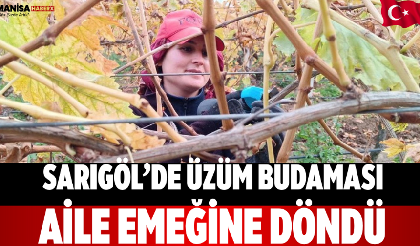 Sarıgöl’de Üzüm Budaması Aile Emeğine Döndü