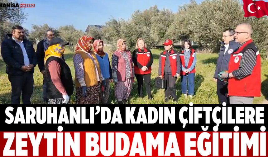 Saruhanlı’da Kadın Çiftçilere  Zeytin Budama Eğitimi