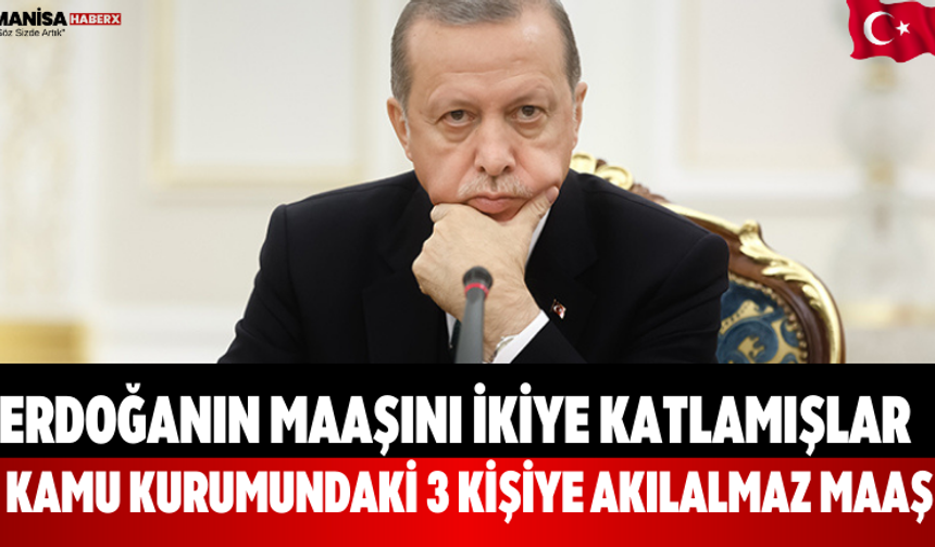 Sayıştay Denetimi: Kamu Şirketinde Maaş Uçurumu