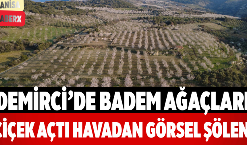 Demirci’de Badem Ağaçları Çiçek Açtı Havadan Görsel Şölen