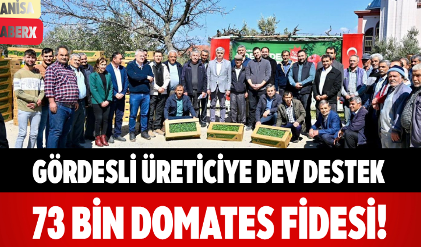Gördesli Üreticiye Dev Destek 73 Bin Domates Fidesi!