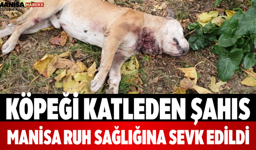 Köpeği Katleden Şahıs Manisa Ruh Sağlığına Sevk Edildi