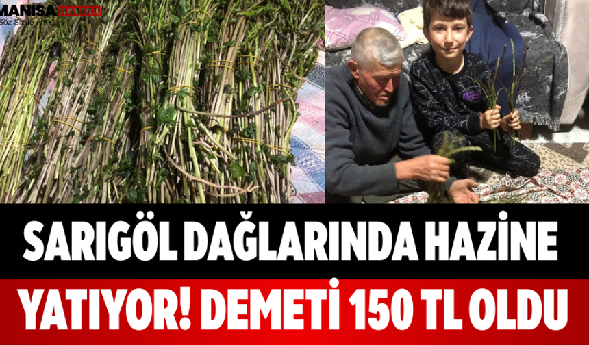 Sarıgöl Dağlarında Hazine Yatıyor! Demeti 150 TL Oldu