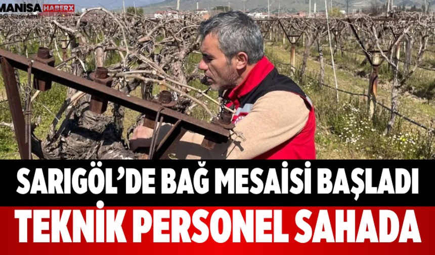 Sarıgöl’de Bağ Mesaisi Başladı Teknik Personel Sahada