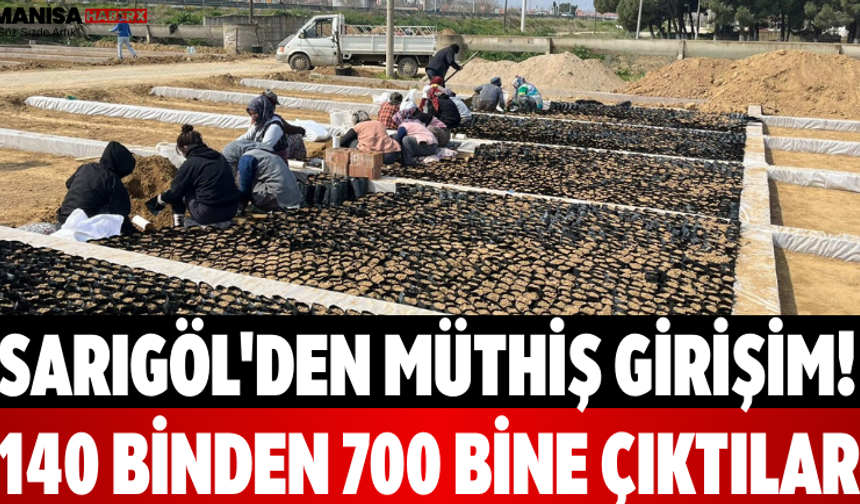 Sarıgöl'den Müthiş Girişim! 140 Binden 700 Bine Çıktılar