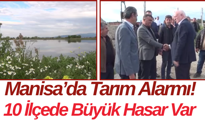 Manisa’da Tarım Alarmı! 10 İlçede Büyük Hasar Var