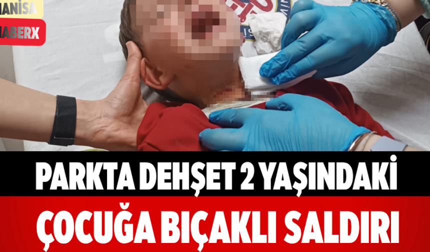 Parkta Dehşet 2 Yaşındaki Çocuğa Bıçaklı Saldırı