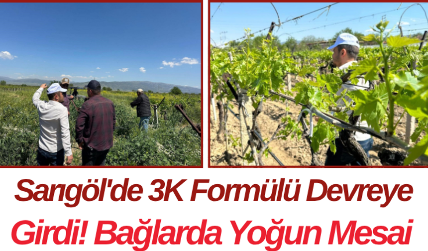 Sarıgöl'de 3K Formülü Devreye Girdi! Bağlarda Yoğun Mesai