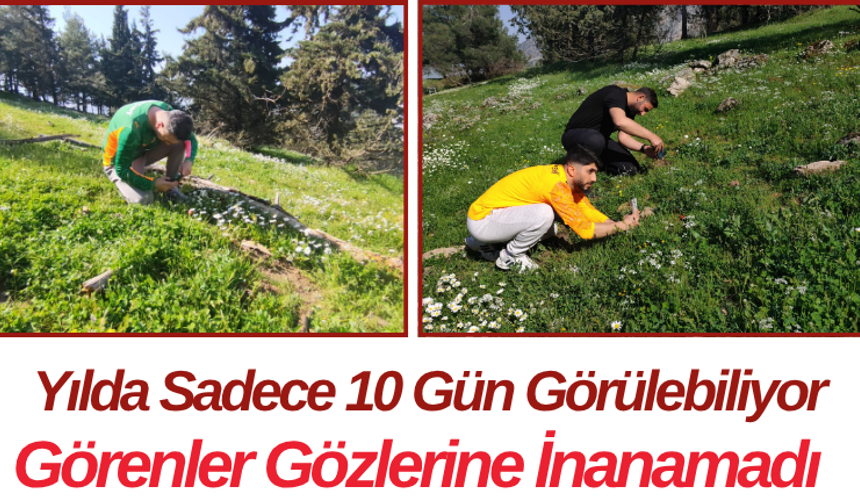 Yılda Sadece 10 Gün Görülebiliyor! Görenler  İnanamadı