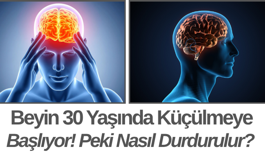 Beyin 30 Yaşında Küçülmeye Başlıyor! Peki Nasıl Durdurulur?