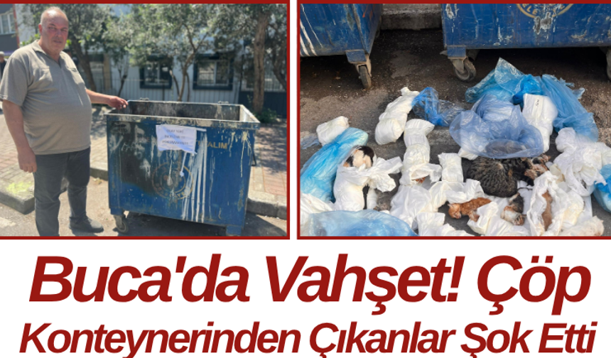 Buca'da Vahşet! Çöp Konteynerinden Çıkanlar Şok Etti