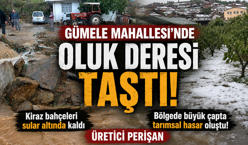Demirci’de Dere Taştı, Bağ ve Bahçeler Sular Altında Kaldı!