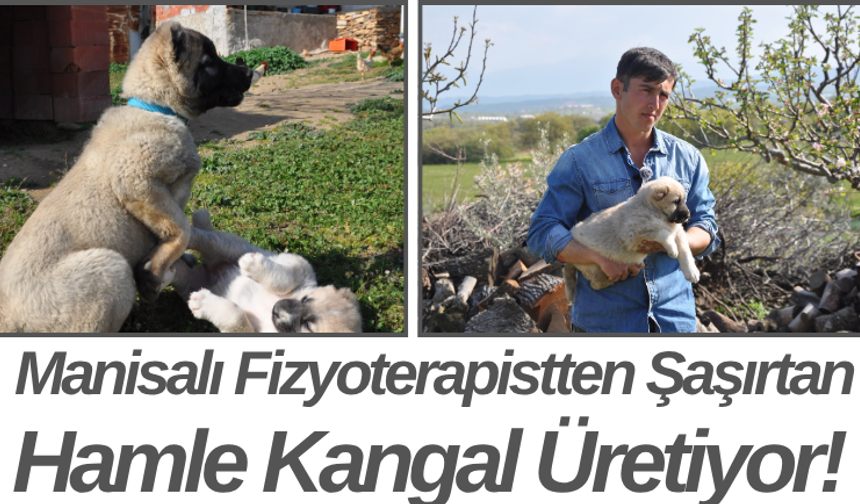 Manisalı Fizyoterapistten Şaşırtan Hamle Kangal Üretiyor!