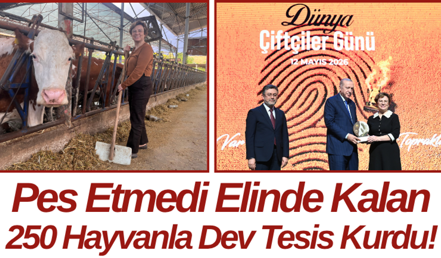 Pes Etmedi Elinde Kalan 250 Hayvanla Dev Tesis Kurdu!