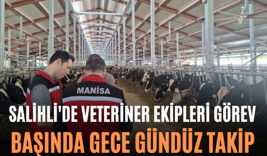 Salihli'de Veteriner Ekipleri Görev Başında Gece Gündüz Takip