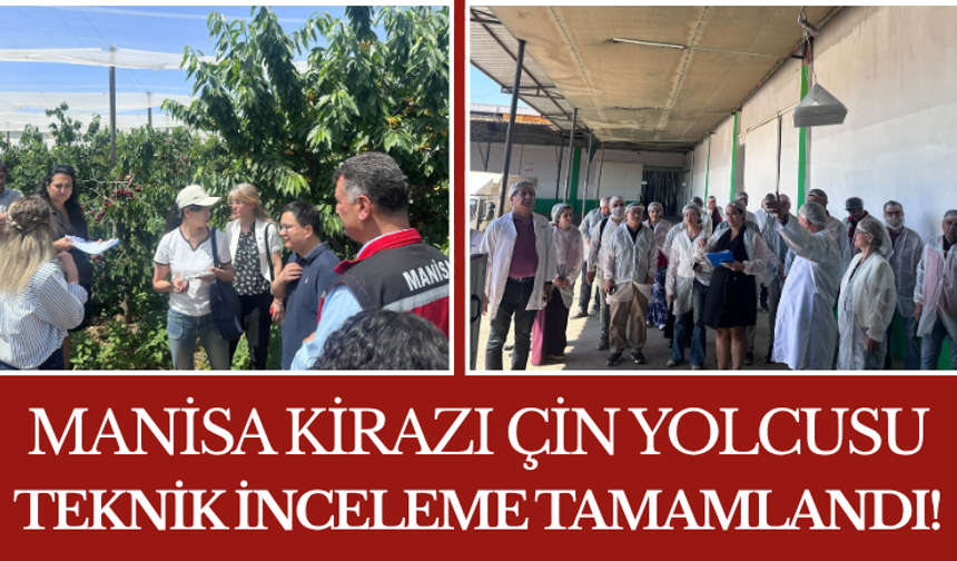 Manisa Kirazı Çin Yolcusu Teknik İnceleme Tamamlandı!