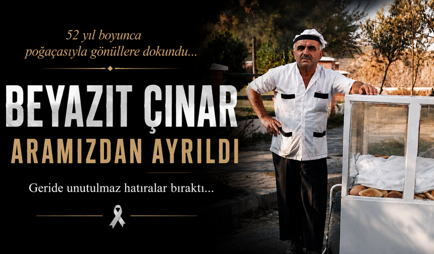 Manisa'nın Efsane Çınarı Artık Yok! Büyük Hüzün