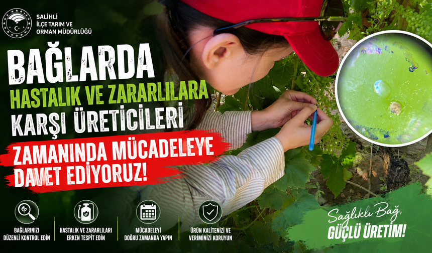 Salihli'de Bağ Üreticilerine Kritik Uyarı