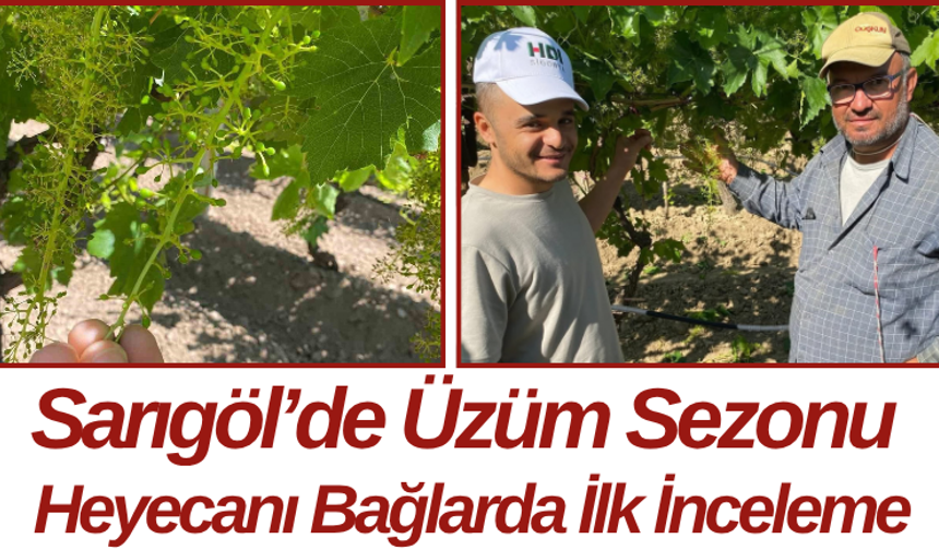 Sarıgöl’de Üzüm Sezonu Heyecanı Bağlarda İlk İnceleme