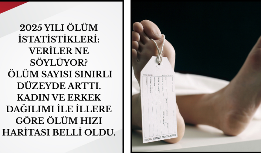 Türkiye'de En Çok Ölüm Nedeni: Dolaşım Sistemi!