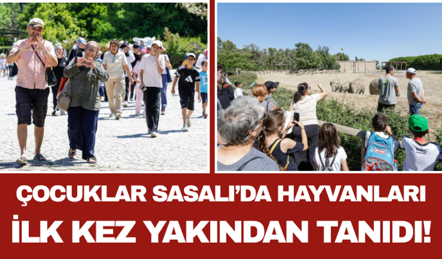 Çocuklar Sasalı’da Hayvanları İlk Kez Yakından Tanıdı!
