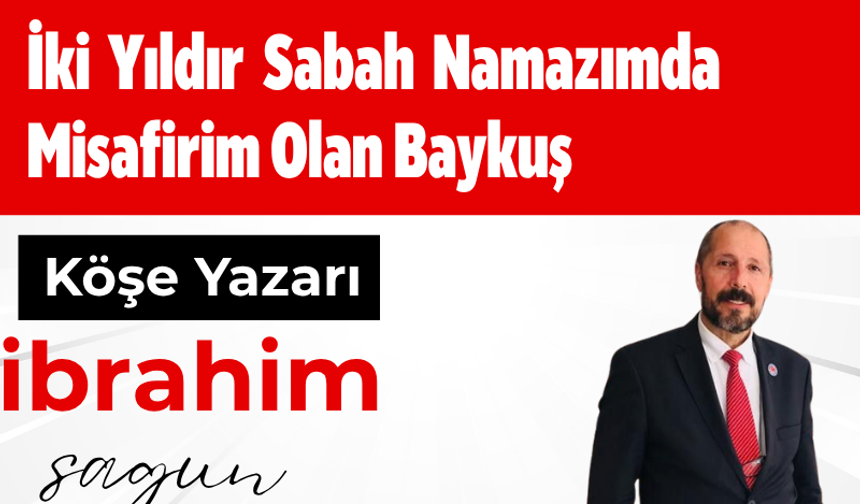 İki Yıldır Sabah Namazımda Misafirim Olan Baykuş