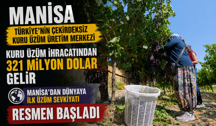 Manisa'dan Dünyaya İlk Üzüm Sevkiyatı Resmen Başladı