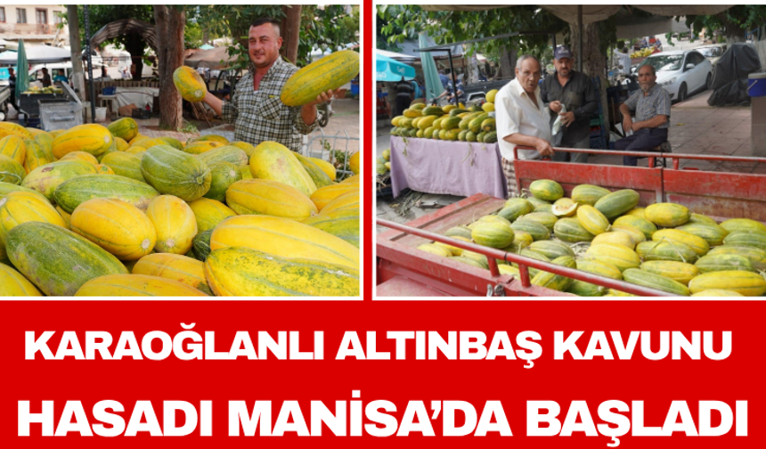 Karaoğlanlı Altınbaş Kavunu Hasadı Manisa’da Başladı