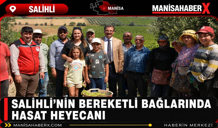 Salihli’nin Bereketli Bağlarında Hasat Heyecanı